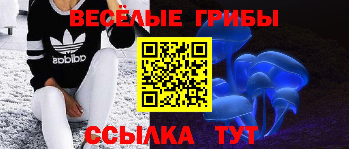 Псилоцибиновые грибы Cubensis  Вход с VPN  Владикавказ  как найти   Галлюциногенные грибы Psilocybe 